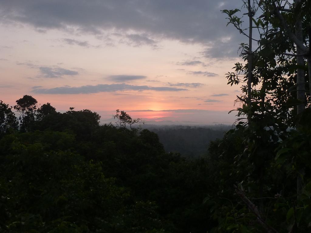The Fence Bed & Breakfast Bentota Bagian luar foto