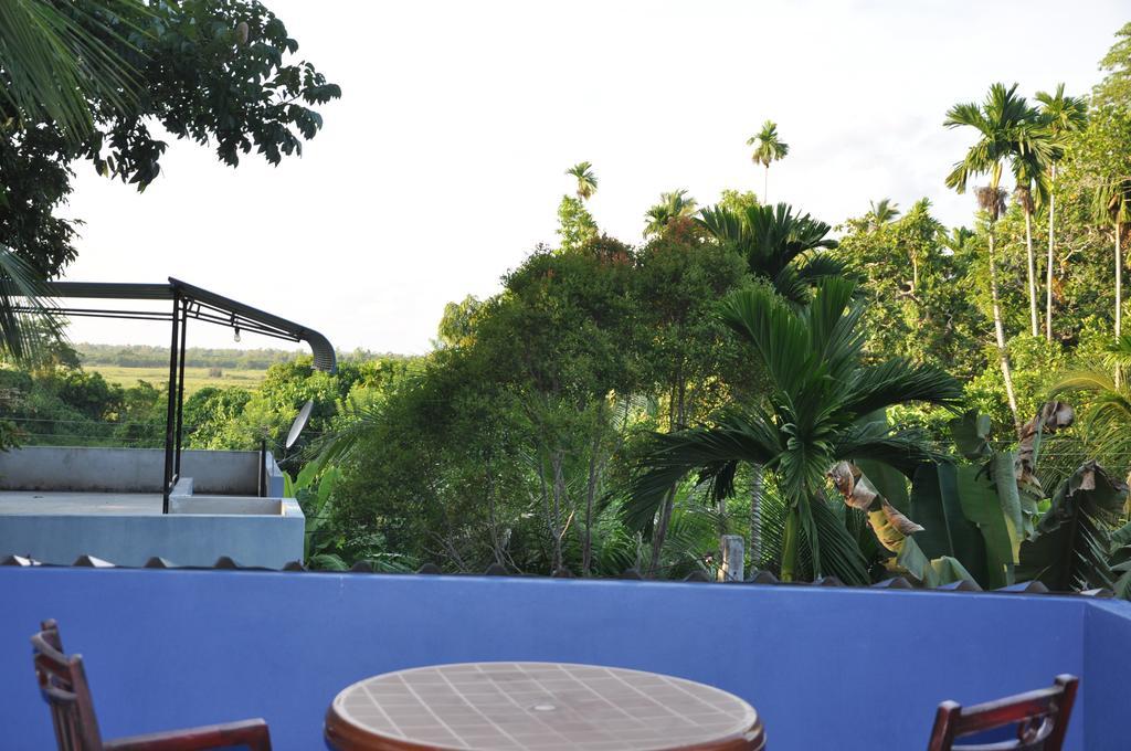 The Fence Bed & Breakfast Bentota Bagian luar foto