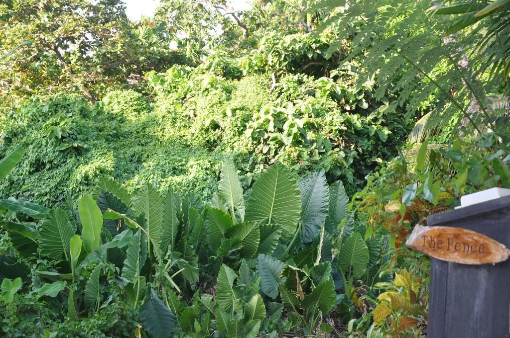 The Fence Bed & Breakfast Bentota Bagian luar foto