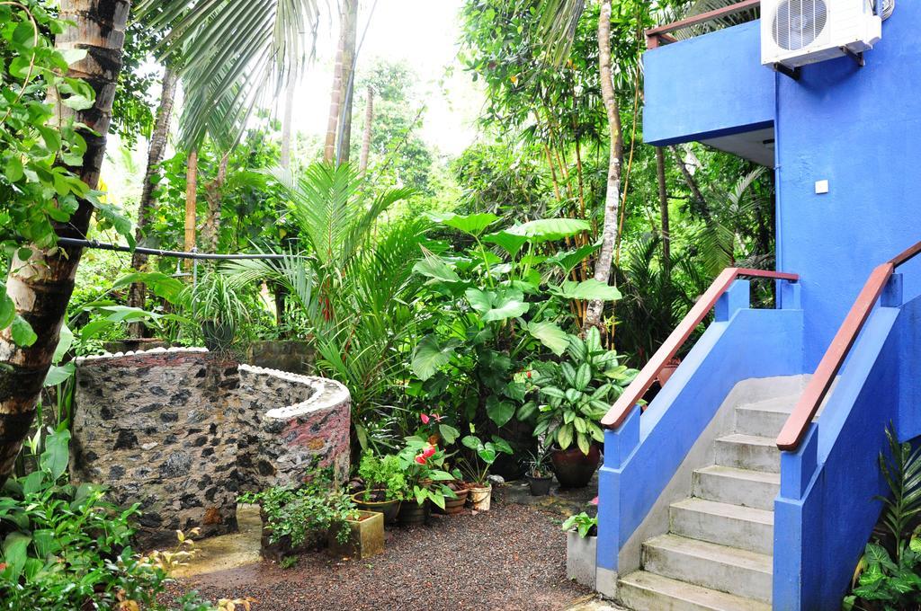 The Fence Bed & Breakfast Bentota Bagian luar foto